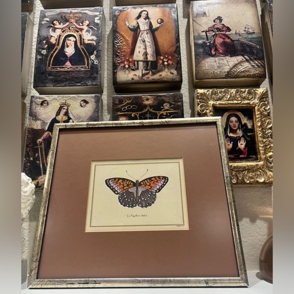 Butterfly Le‎ Papillon Idalie Vintage Framed Print